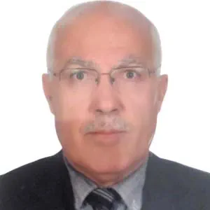 Şemsettin Altındal